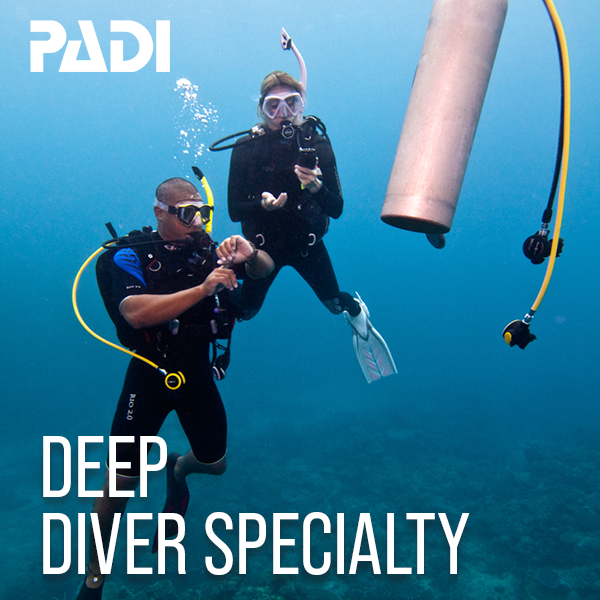 Deep Blue Dive Scuba Diving Essentials d Hanger Black Other Scuba Scuba Snorkelling Studioestetica Net