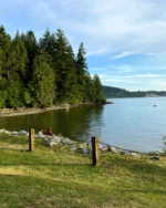 Underwater Clean Up - Image 4