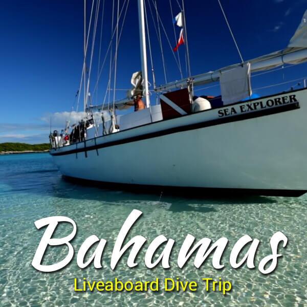 Fab8756F666C25435161E07F8Dda2F5C39443A2E.jpg Bahamas Dive Trip - Image 1