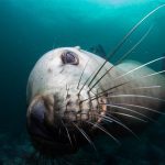 Hornby Island Weekend Getaway