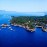 Sunshine Coast Safari