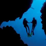 Private Guided Dives