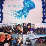 Women's Dives - Image 4