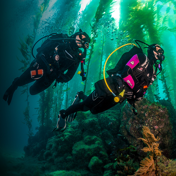 Kelp Forest Safari, Vancouver Diving Locker, Canada