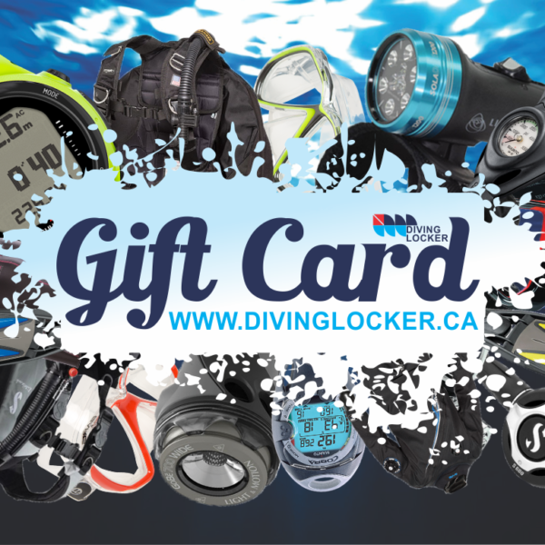 Diving Courses