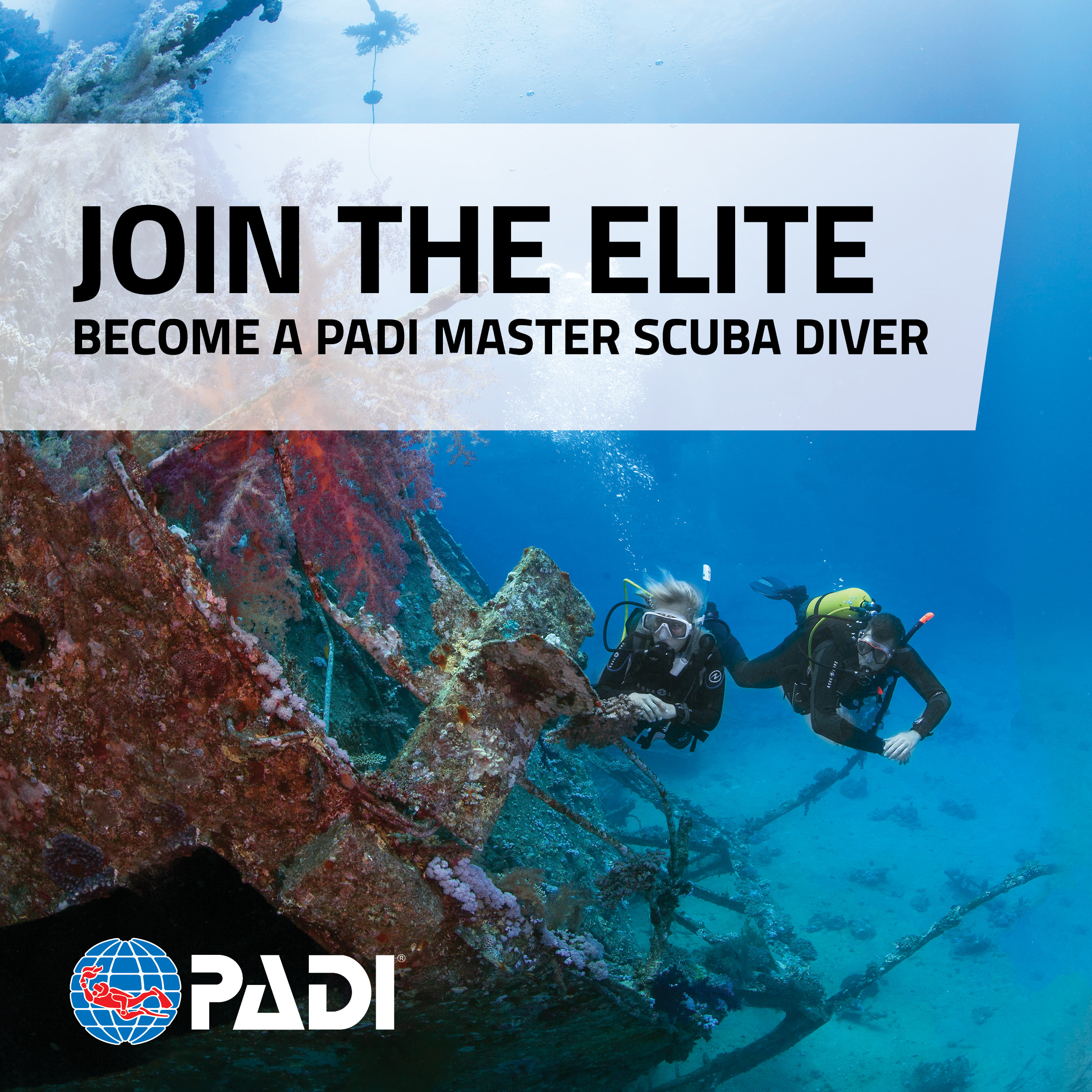 Msd-Onlinebanners1 Padi Master Scuba Diver - Image 1