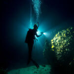 Twilight Dive - Image 3