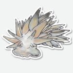 Getting Salty Stickers Mini White Dirona Nudi - Image 2