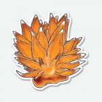 Getting Salty Stickers Orange Dirona Nudi - Image 2