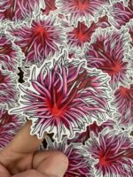 Getting Salty Stickers Mini Rose Nudi