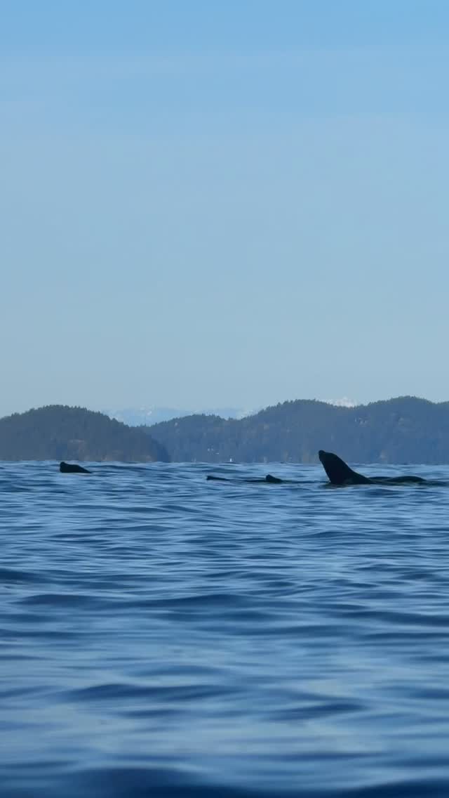 Home, Vancouver Diving Locker, Canada