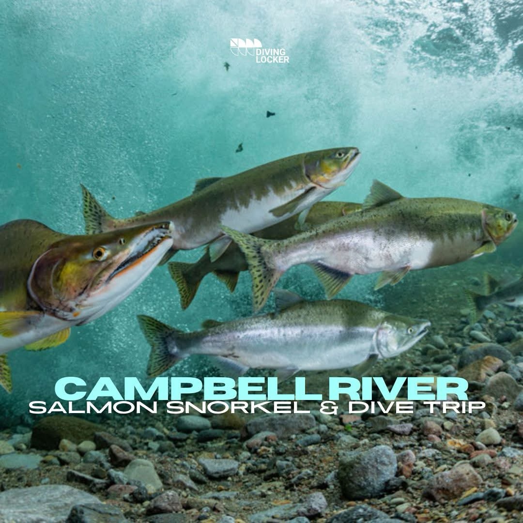 Home, Vancouver Diving Locker, Canada