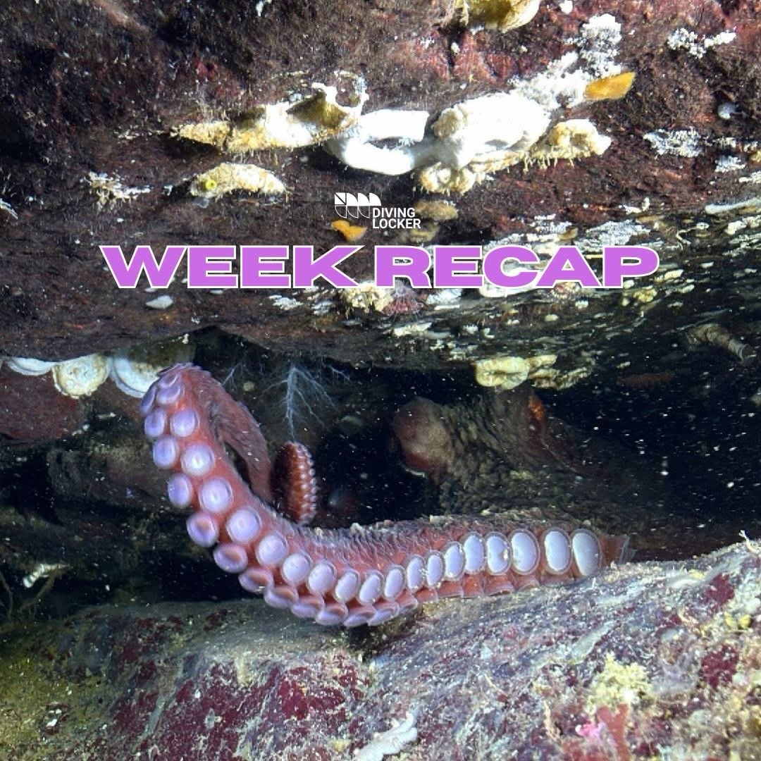 Home, Vancouver Diving Locker, Canada