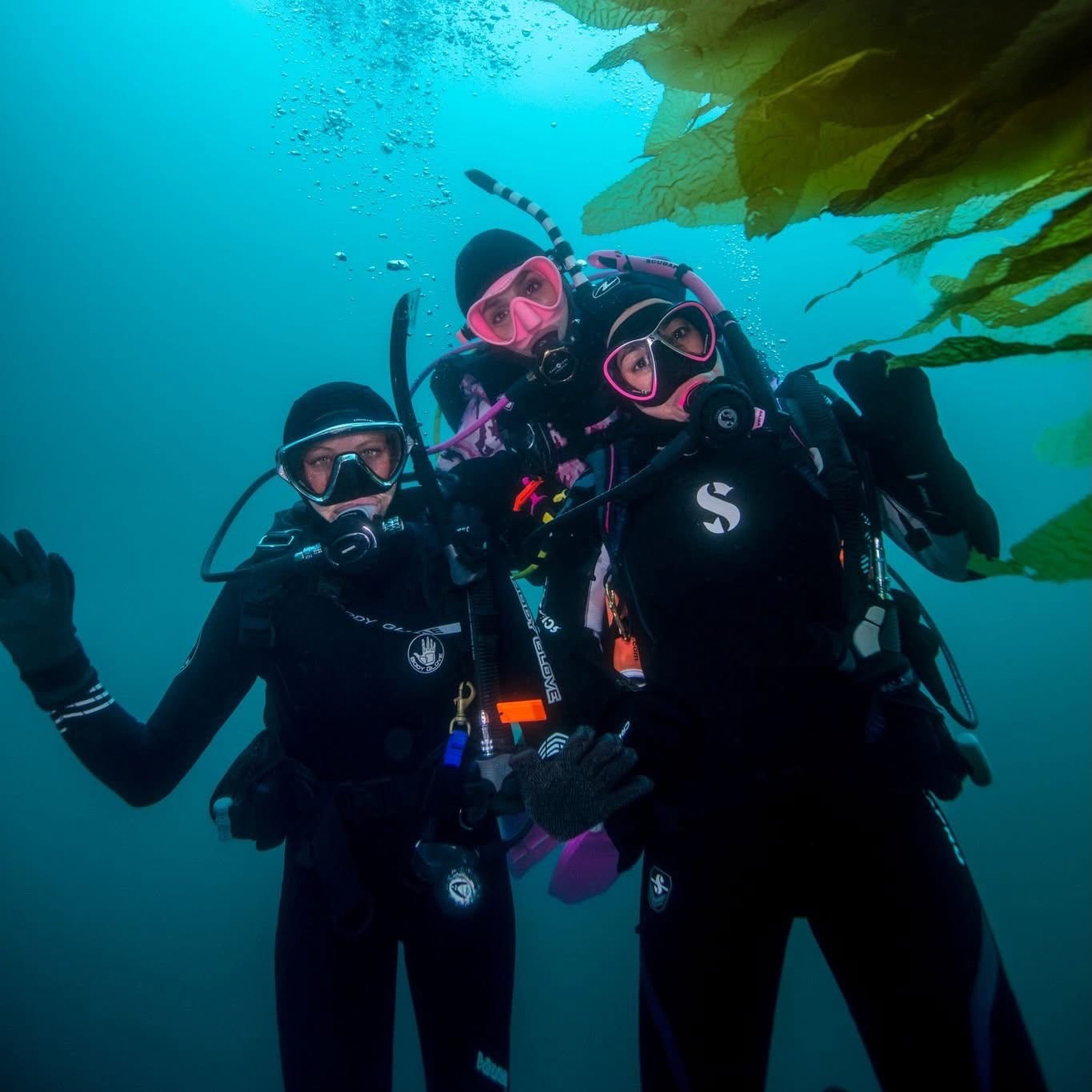 Home, Vancouver Diving Locker, Canada