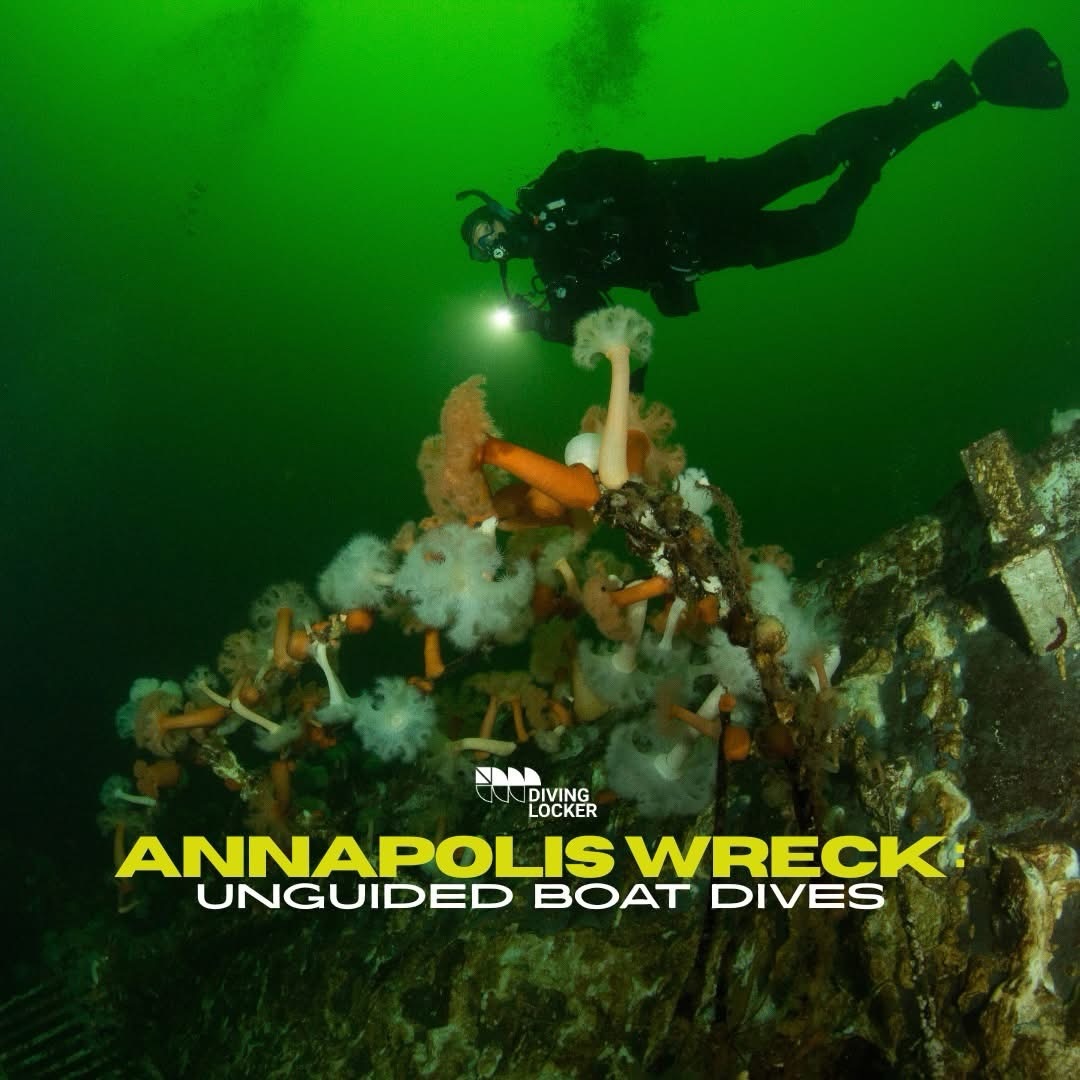 Home, Vancouver Diving Locker, Canada