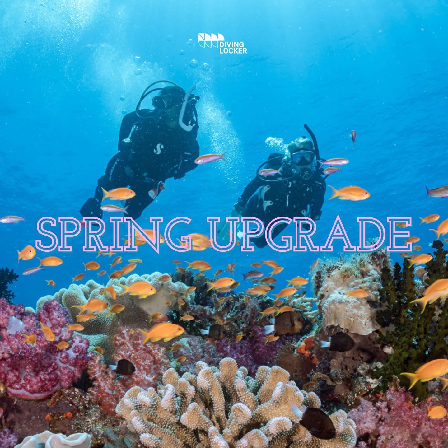 Home, Vancouver Diving Locker, Canada