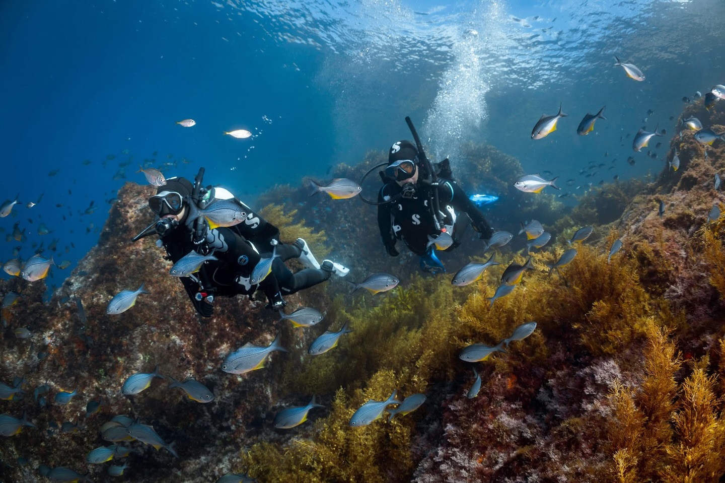 Home, Vancouver Diving Locker, Canada