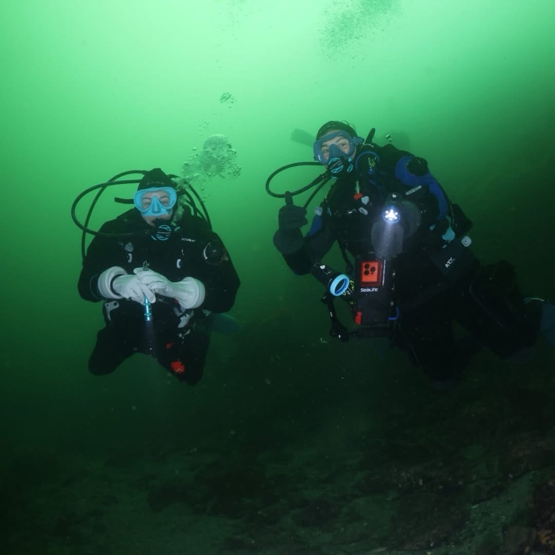 Home, Vancouver Diving Locker, Canada