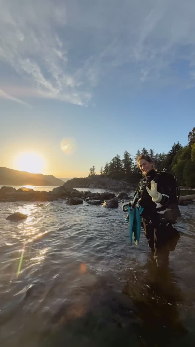 Home, Vancouver Diving Locker, Canada