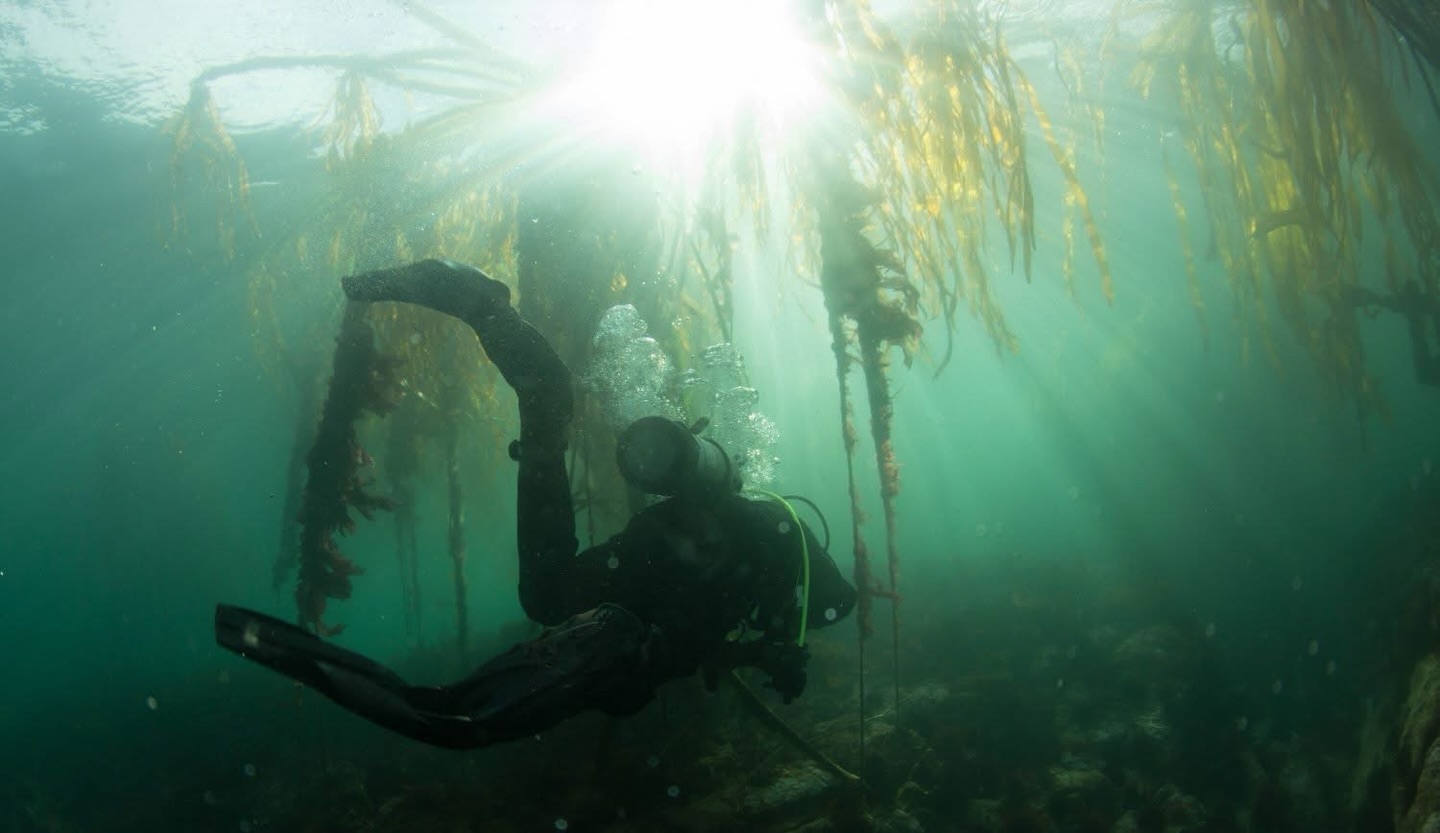 Home, Vancouver Diving Locker, Canada