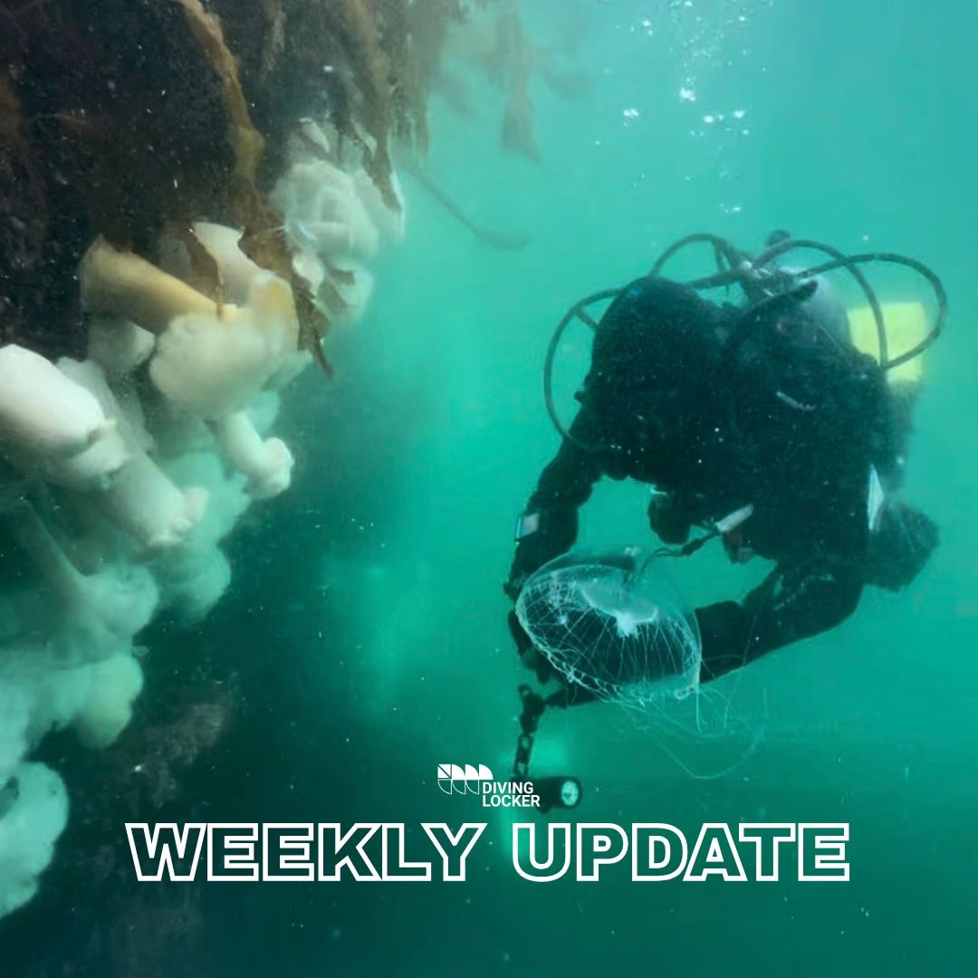 Home, Vancouver Diving Locker, Canada