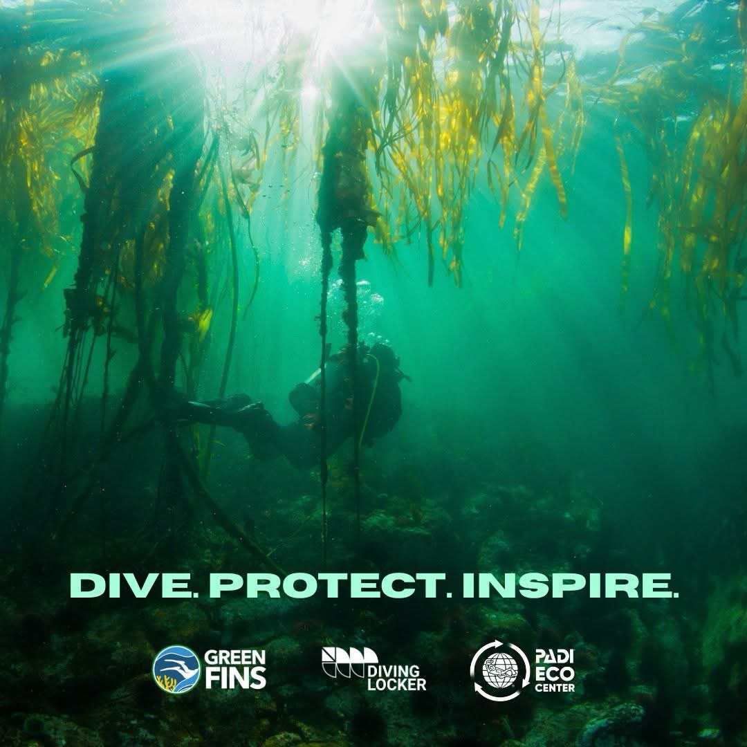 Home, Vancouver Diving Locker, Canada