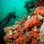 Port Hardy - Image 2