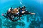 PADI Navigation Specialty