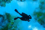 Sidemount Safari - Image 2