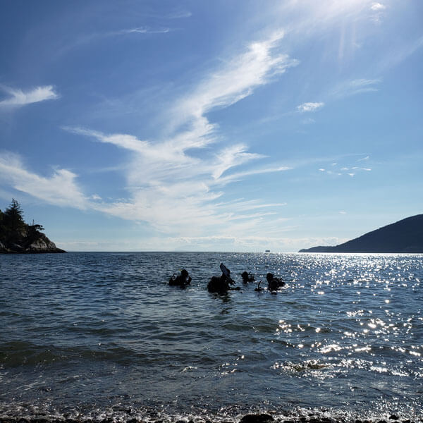 Local Diver Q&Amp;A: Meet Caryl, Vancouver Diving Locker, Canada