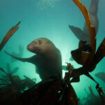 Hornby Island Weekend Getaway - Image 2