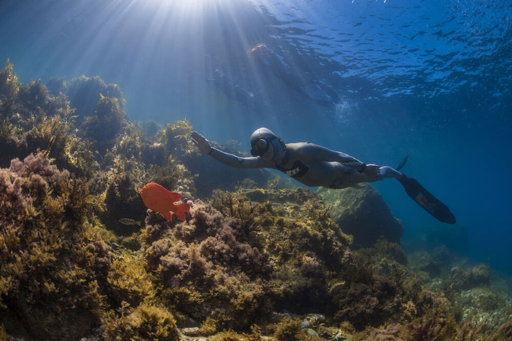 Freediving, Vancouver Diving Locker, Canada