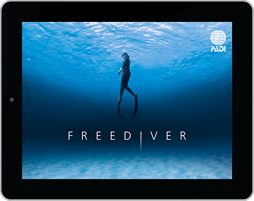 Learn To Freedive At The Vancouver Diving Locker