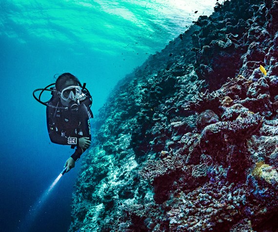 grows-with-you-720x600px-1