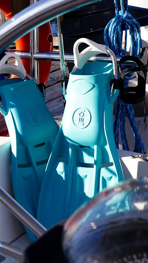 Uplevel Your Dive Kit In Time For The Winter Season, Vancouver Diving Locker, Canada