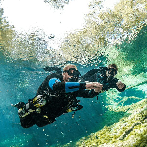 Tec 45 Padi Tec 45 - Image 1