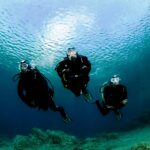 Kelvin Grove Safari, Vancouver Diving Locker, Canada