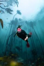 Suunto Ocean Dive Computer - Image 5