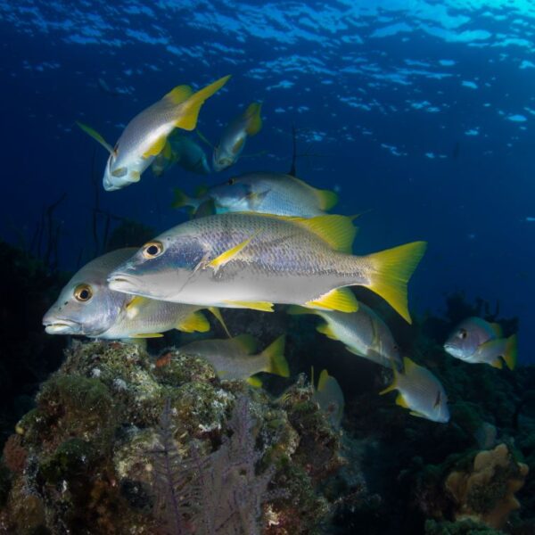 Bahamas-Img_2109