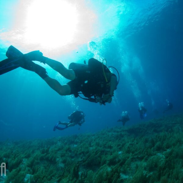 Bahamas-Img_2541
