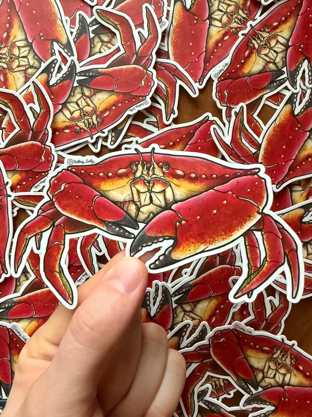 Getting Salty Stickers Rock Crab Getting Salty Stickers Rock Crab - Image 1