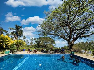 Taveuni, Fiji: A Place That Keeps Calling Us Back 13 Taveuni, Fiji: A Place That Keeps Calling Us Back, Vancouver Diving Locker, Canada