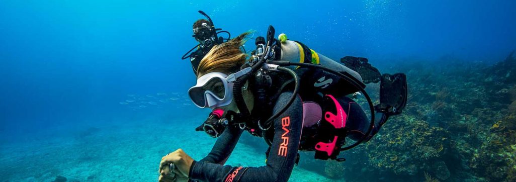 Bahamas Liveaboard Dive Trip