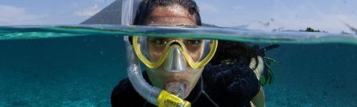 ApeSnorkeling