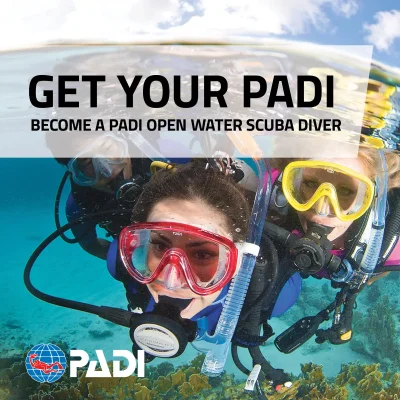 Padi Open Water Course Vancouver - Learn To Dive With The Vancouver Diving Locker