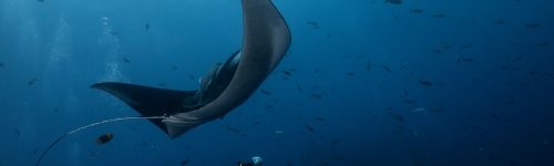 Simon-Lorenz-2018-12-Mexico-9109